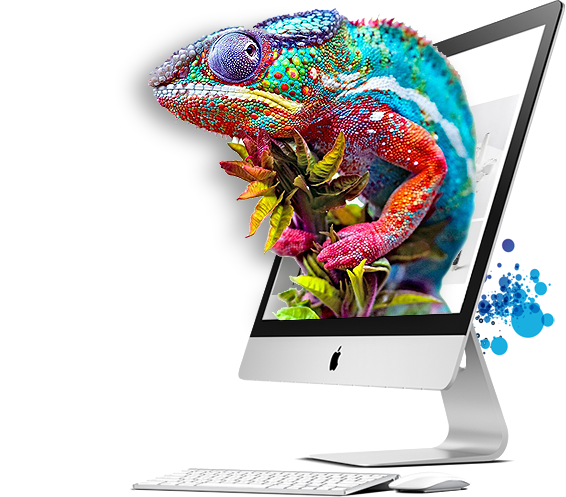 gráfica em valinhos